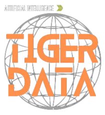 Tiger Data PP Ver 1.pptx