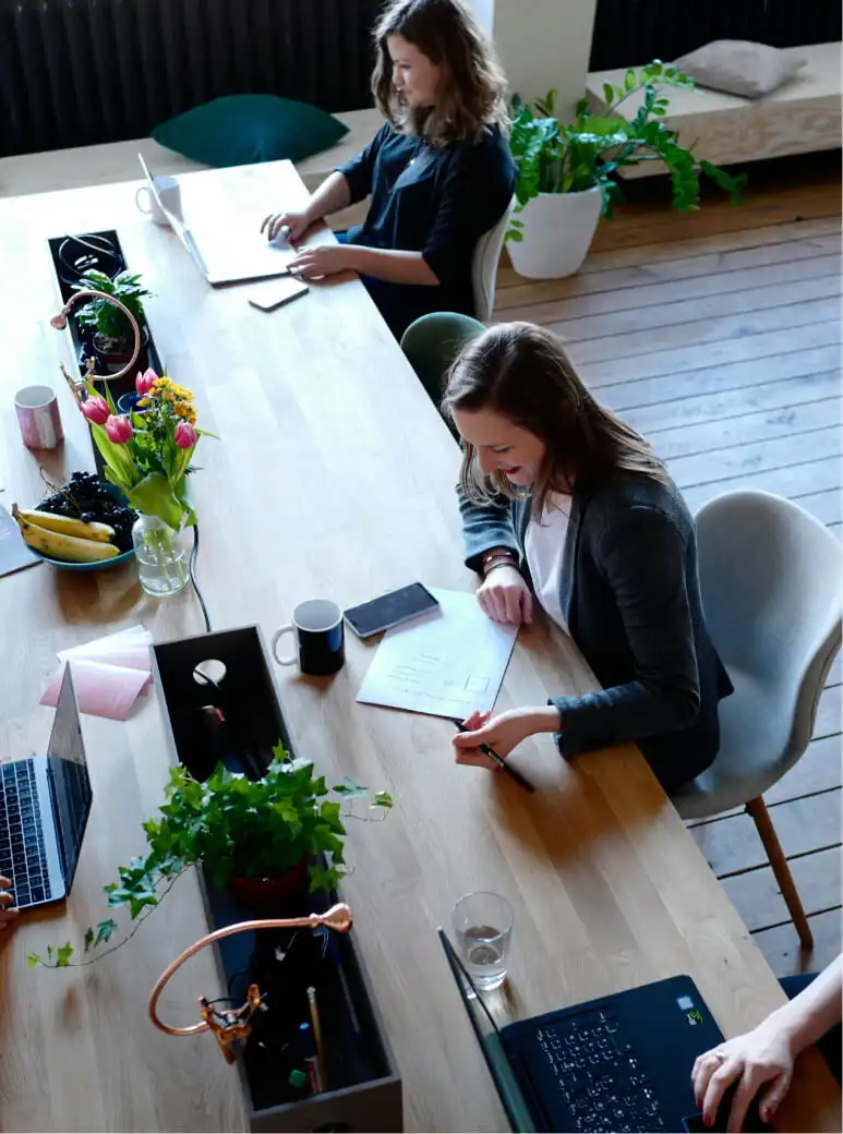 Project management office services
